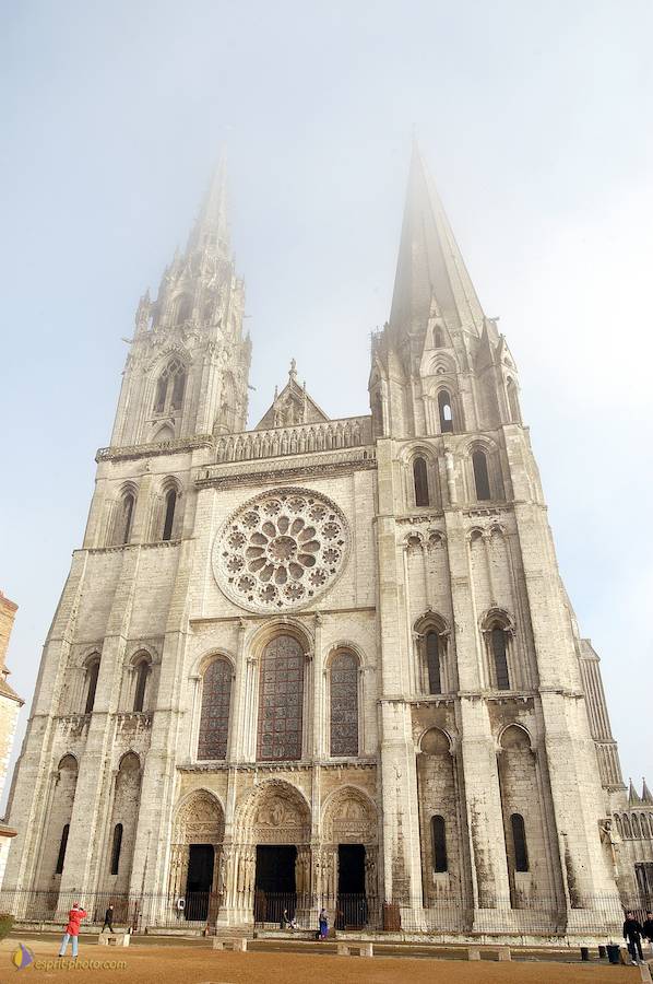 Nom de l'image : D1107471-nef-01_(c)Norbert-JUNG — Description :